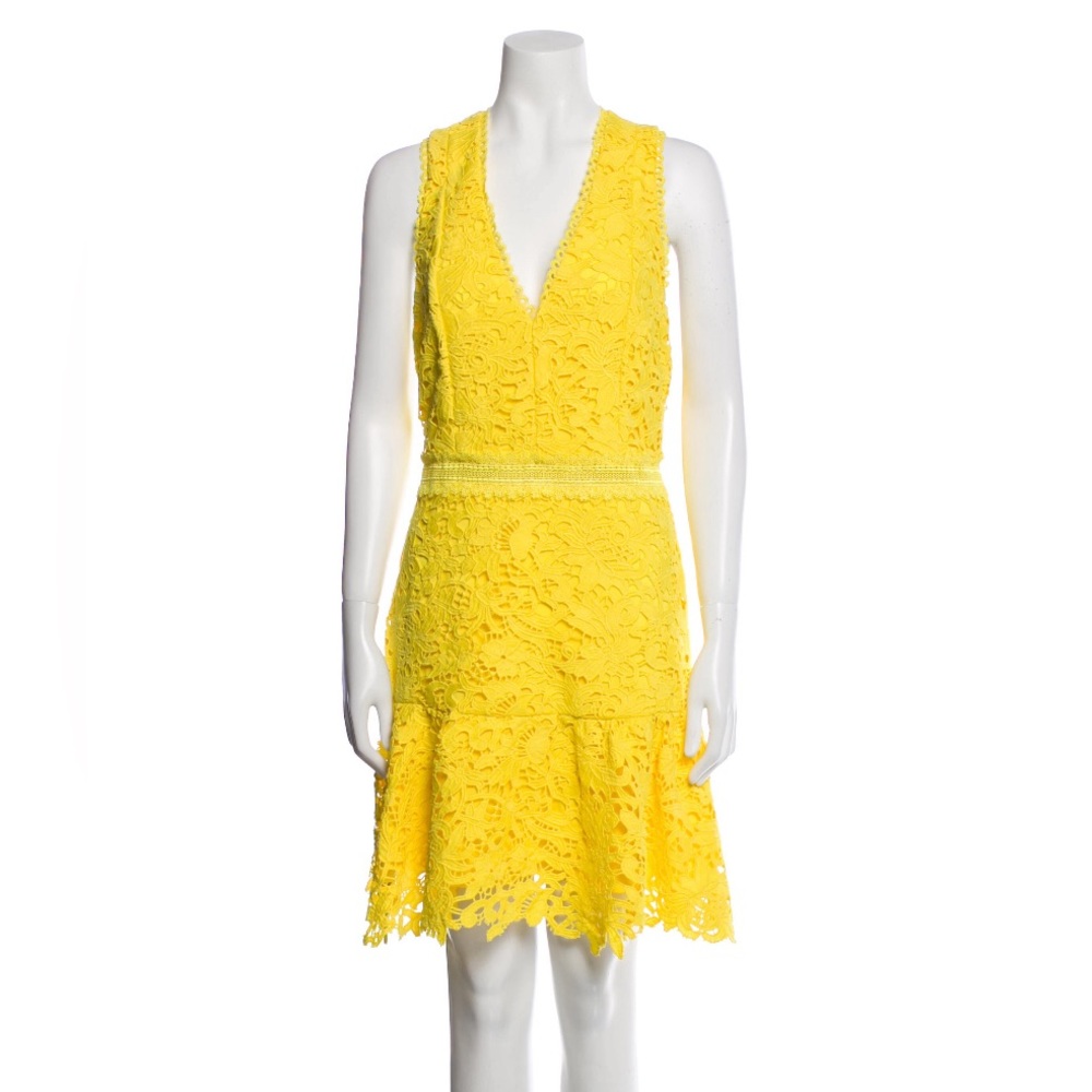 Alice + Olivia A-line dress